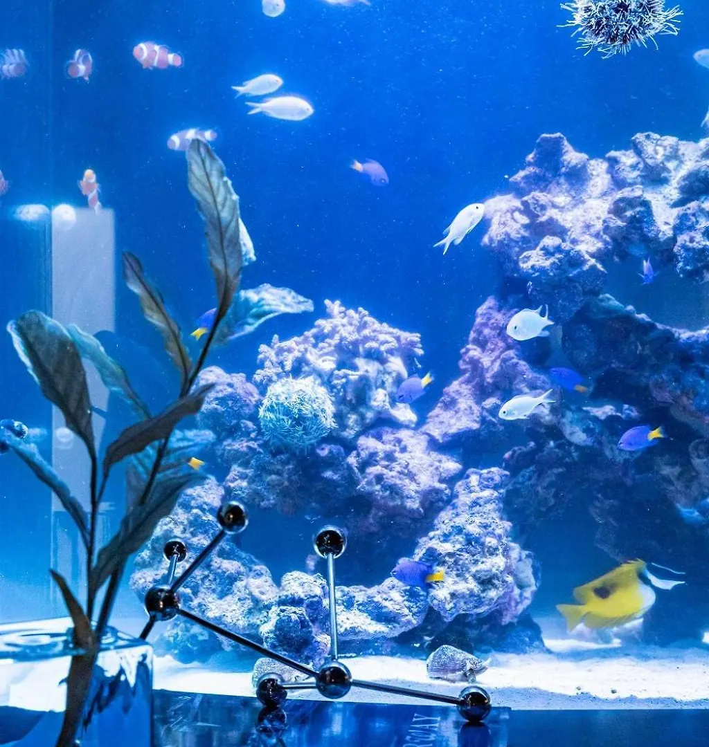 Japavista Aqua Villa Osaka