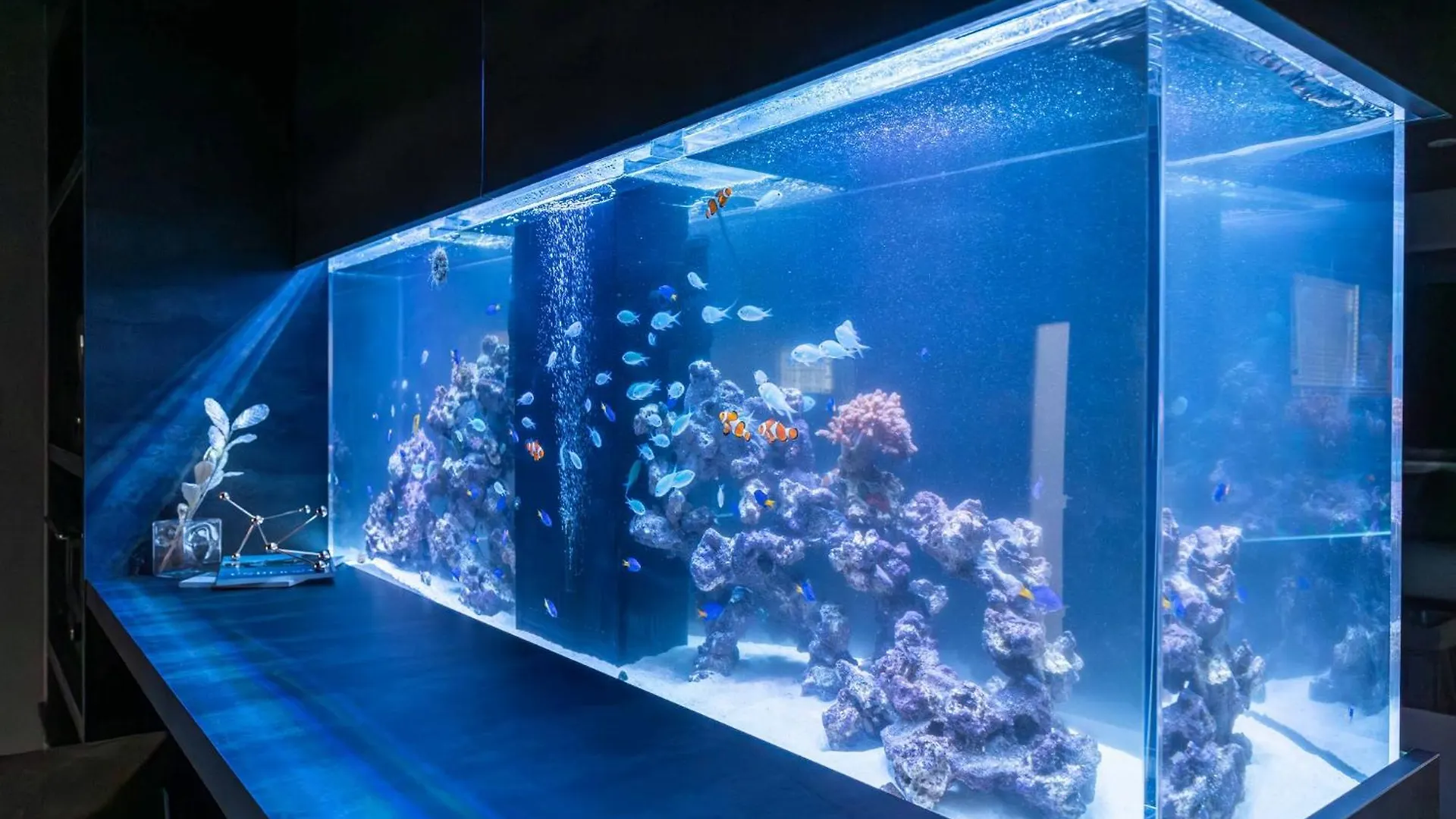 Japavista Aqua Villa Osaka 0*,